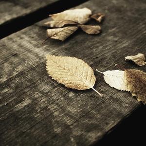 美国一级性生活视屏
