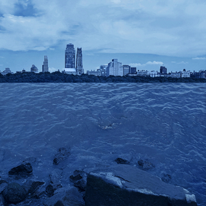 美国一级性生活视屏
